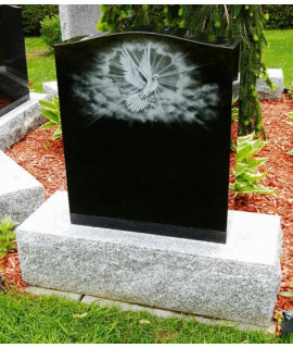 La colombe étincelante