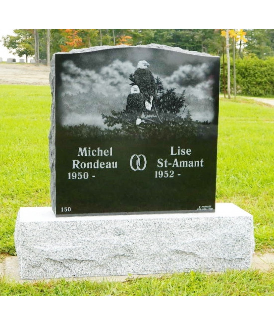 La nature des mésanges