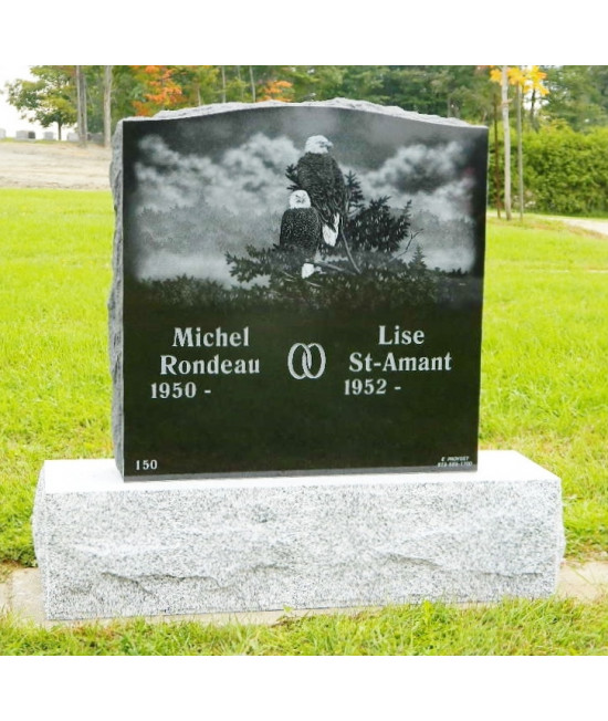 La nature des mésanges