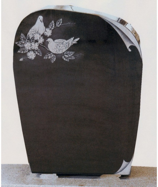 Le duo de colombe Le duo de colombe