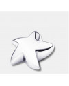Argent brillant (Etoile reliquaire)