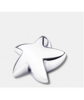 Argent brillant (Etoile reliquaire)