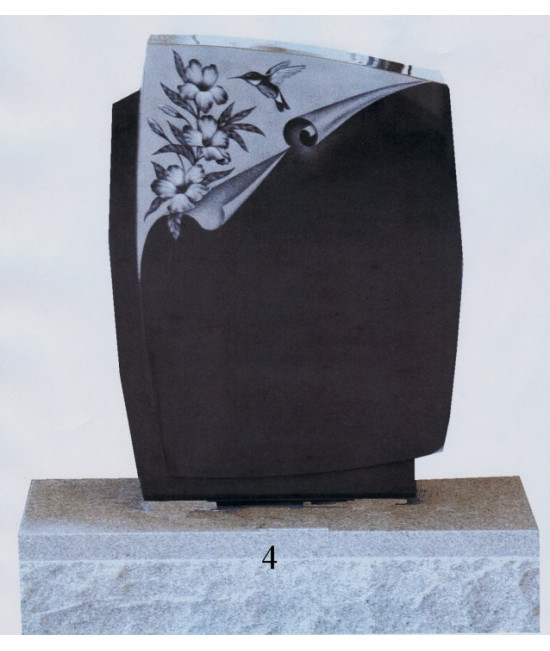 Les oiseaux mouches Les oiseaux mouches