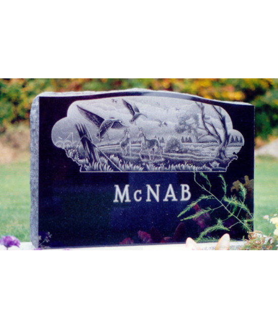 La nature équestre La nature équestre