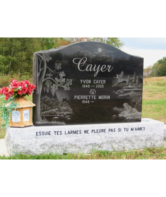 La nature au bord de l'eau