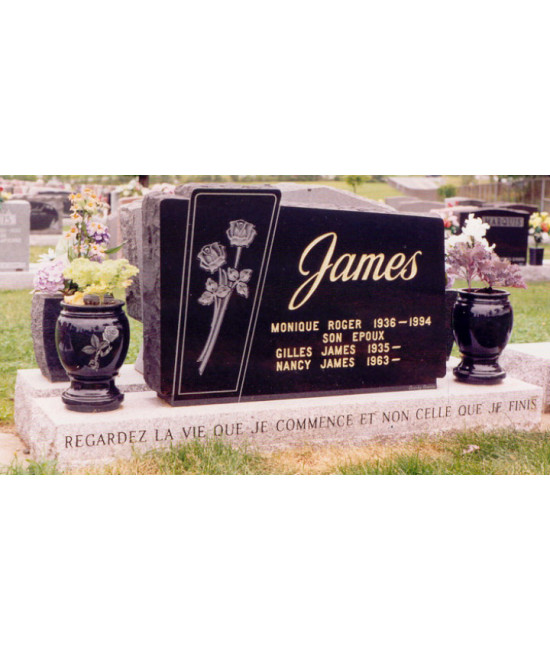 Les roses jumelles Les roses jumelles