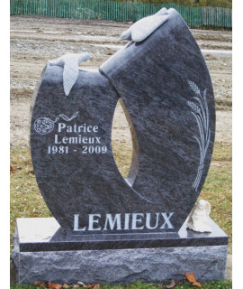 Un vol de colombe